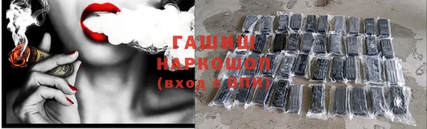 СК Володарск
