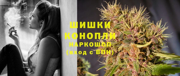 СК Володарск