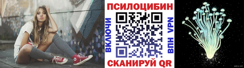 блэк спрут маркетплейс  Каспийск  Галлюциногенные грибы прущие грибы 